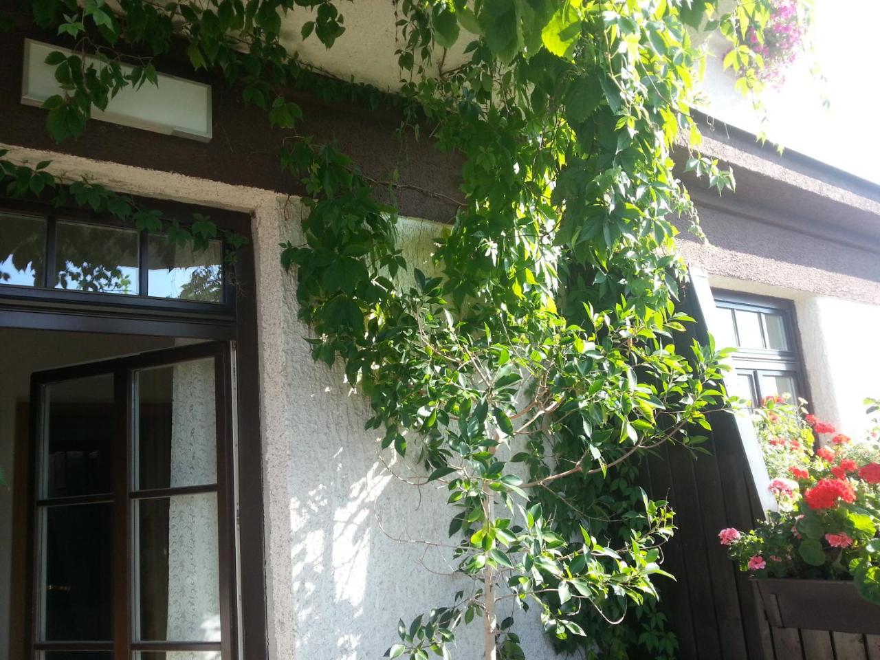 Antik Hotel Sofia Litomyšl Kültér fotó